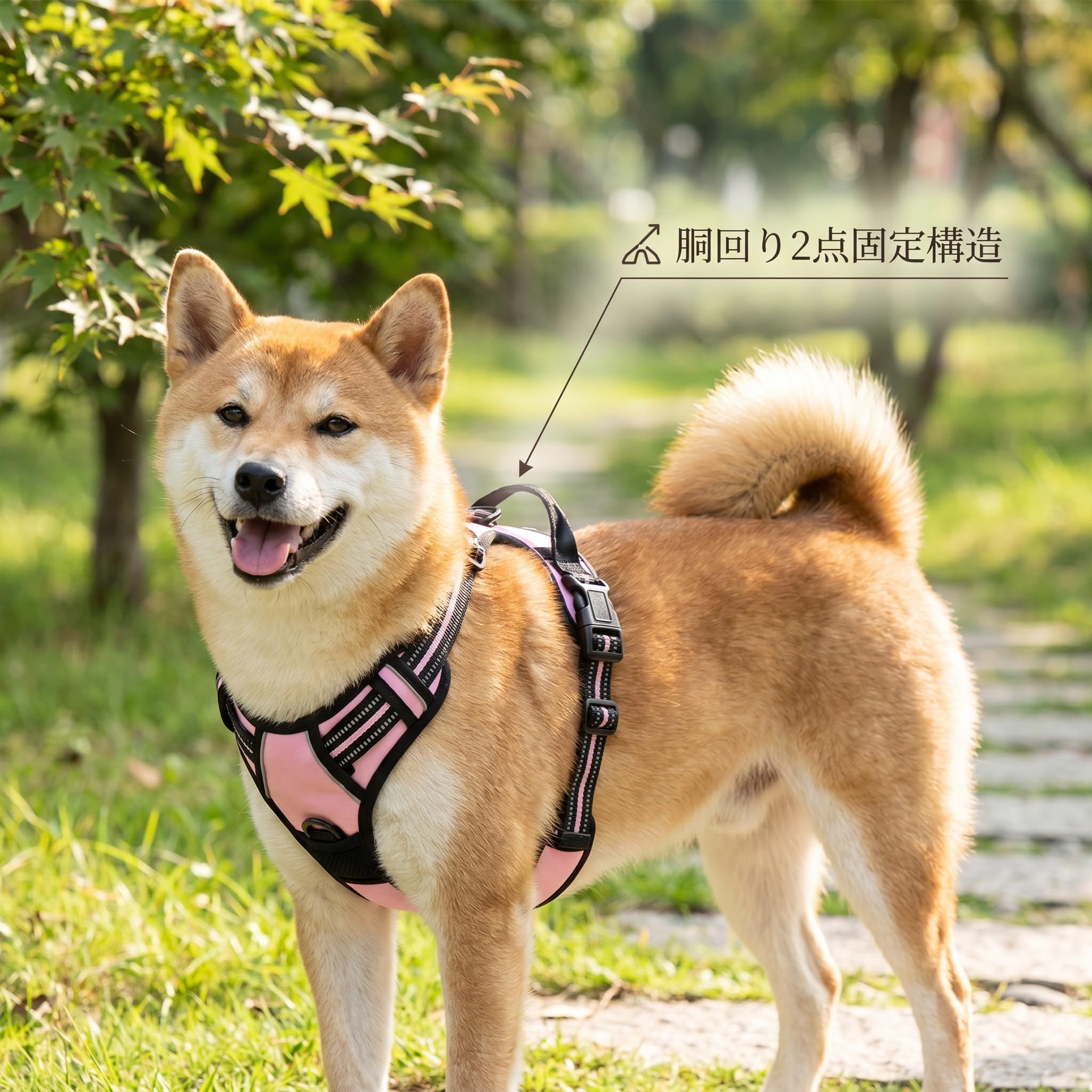 AIBPET 反射デザインハーネス
